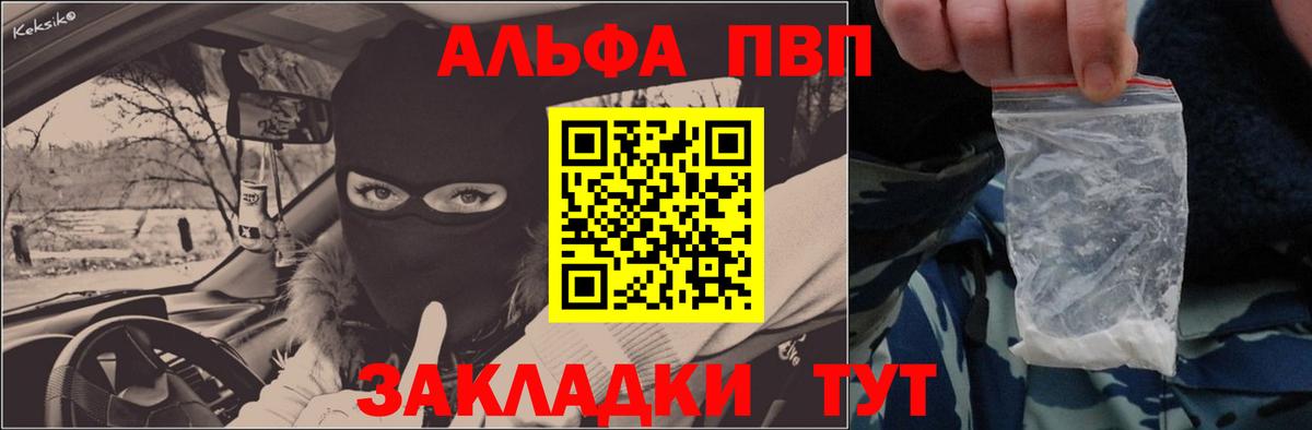 A PVP СК Архангельск