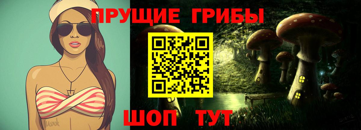 где продают наркотики  Псилоцибиновые грибы Psilocybe  Вход с VPN  Архангельск 